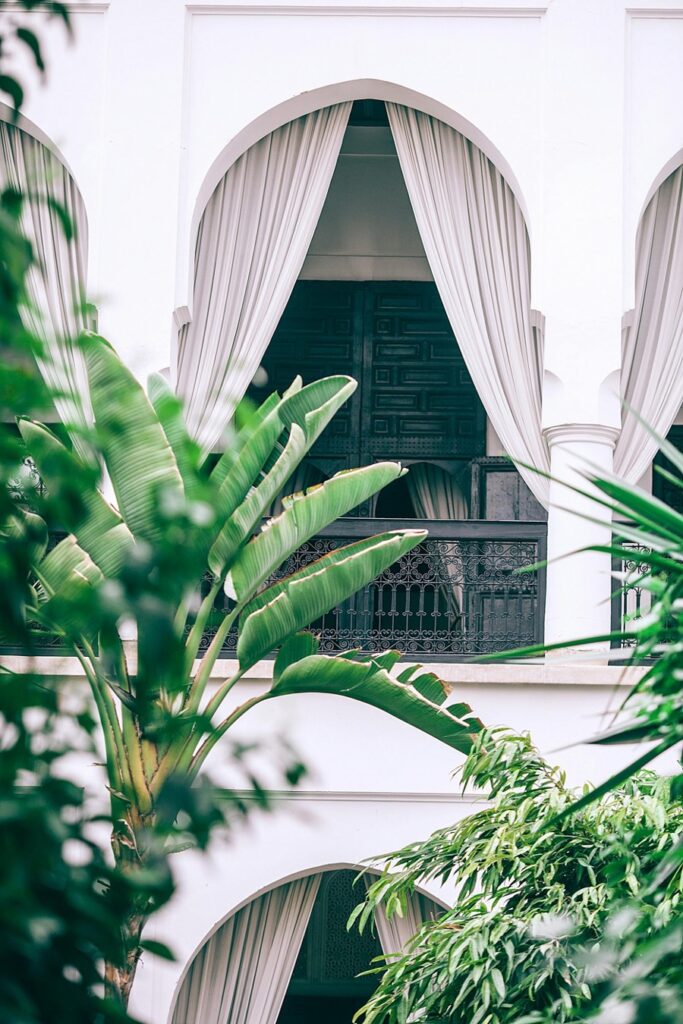 A white building with a palm tree and a window.